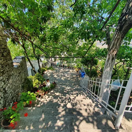 Riva Apartment